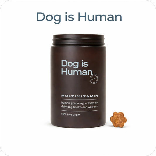 Dog is Human™ Multivitamin Premium | Suplemento Multivitamínico para Perros | 90 Soft Chews