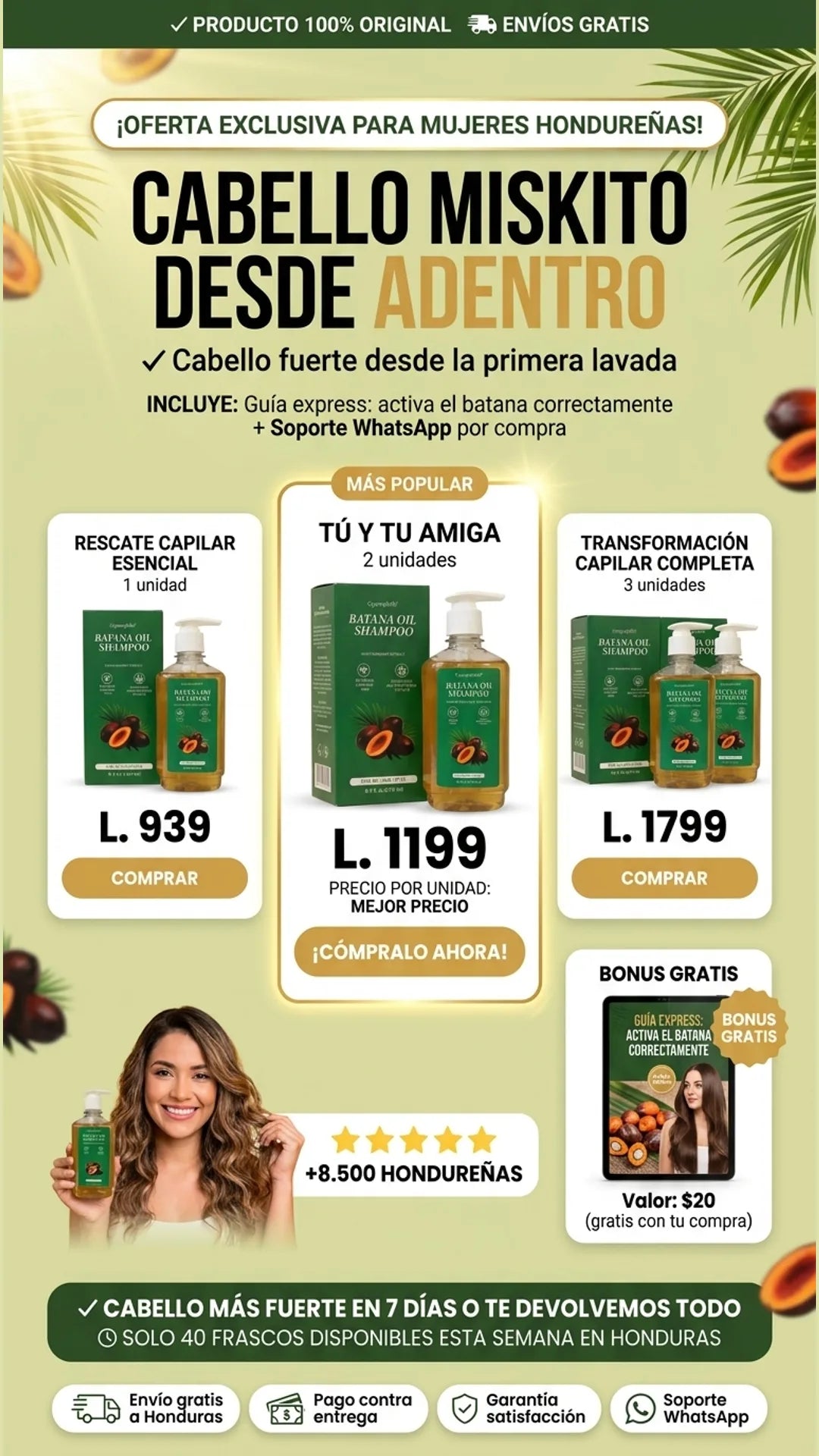 Gypsophila — oferta