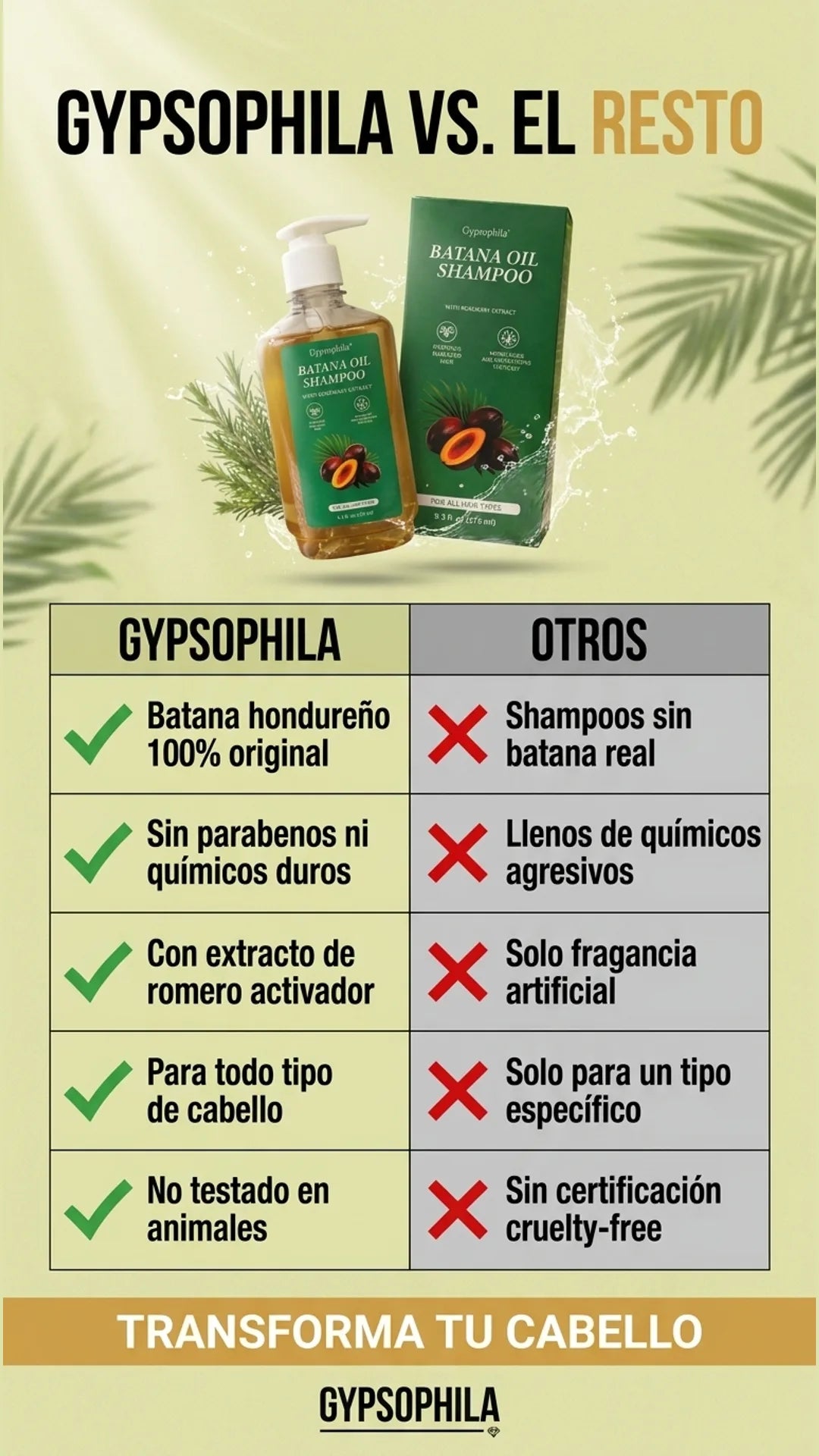 Gypsophila — tabla-comparativa