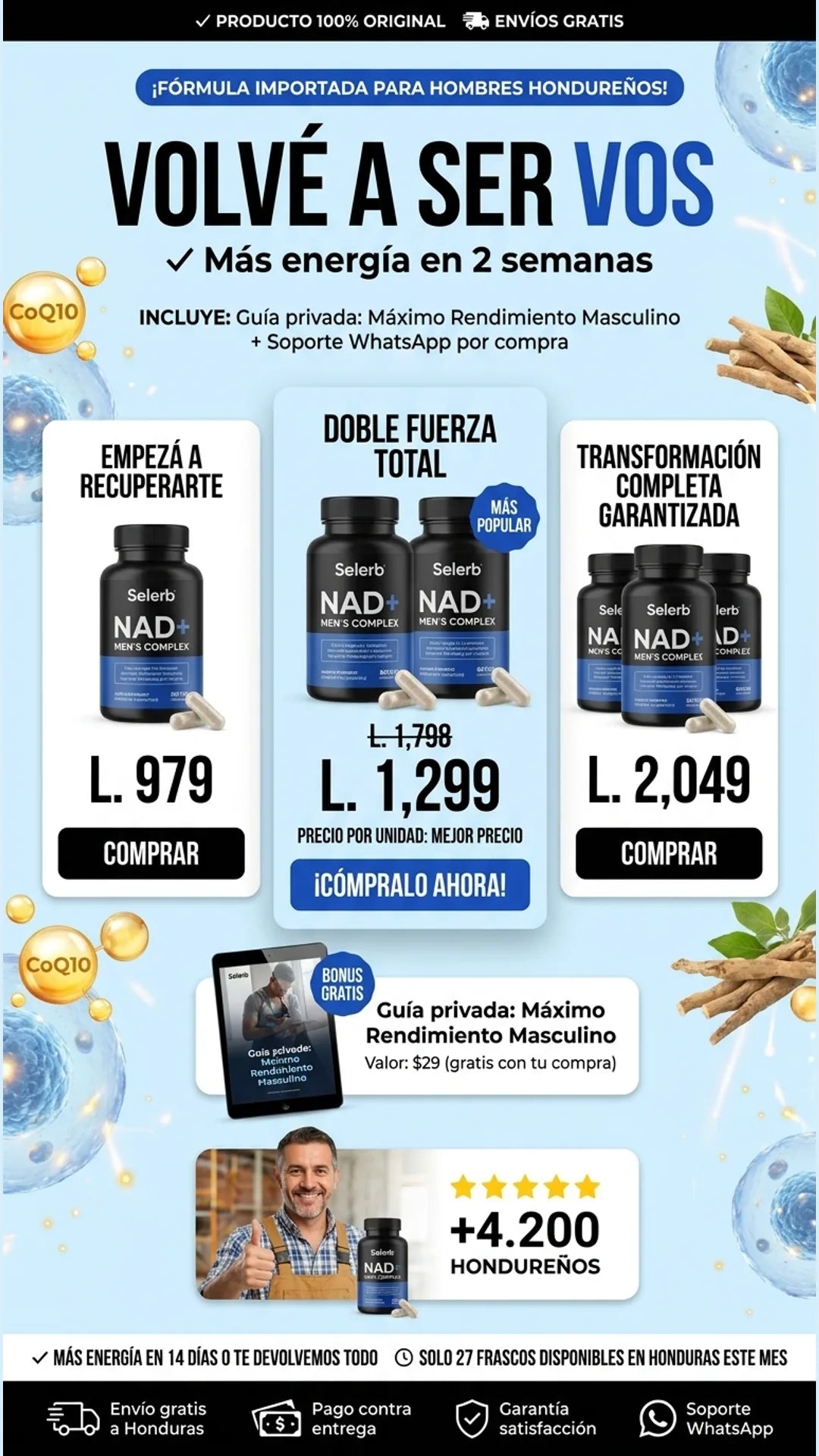 Selerb — oferta