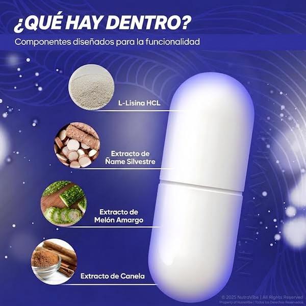 Memory Mood Brain 60 Cápsulas — Apoya Concentración, Claridad y Energía Mental Sostenida