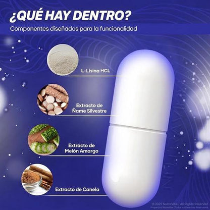 Memory Mood Brain 60 Cápsulas — Apoya Concentración, Claridad y Energía Mental Sostenida