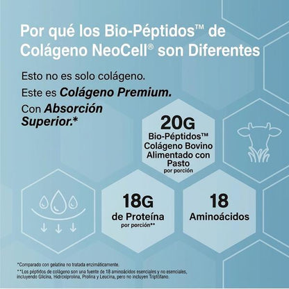 Colágeno en Polvo — Apoya Piel Radiante, Cabello Fuerte y Uñas Saludables