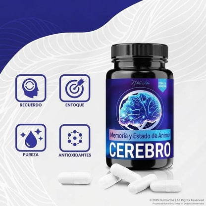 Memory Mood Brain 60 Cápsulas — Apoya Concentración, Claridad y Energía Mental Sostenida