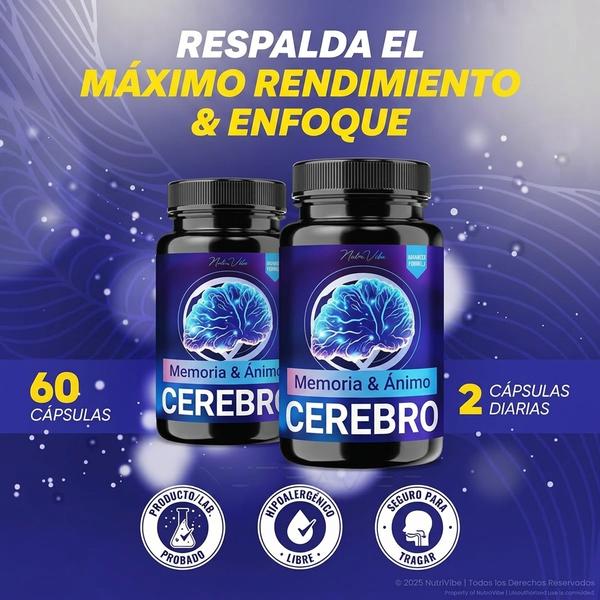 Memory Mood Brain 60 Cápsulas — Apoya Concentración, Claridad y Energía Mental Sostenida